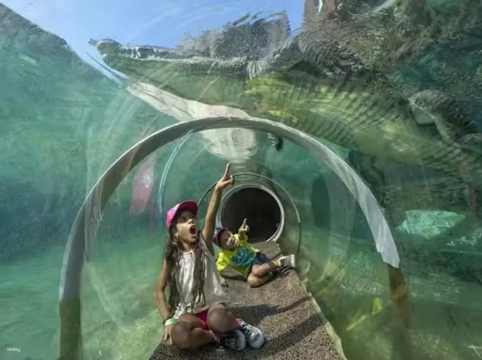 Zoo Miami Skip The Line Ticket | Florida