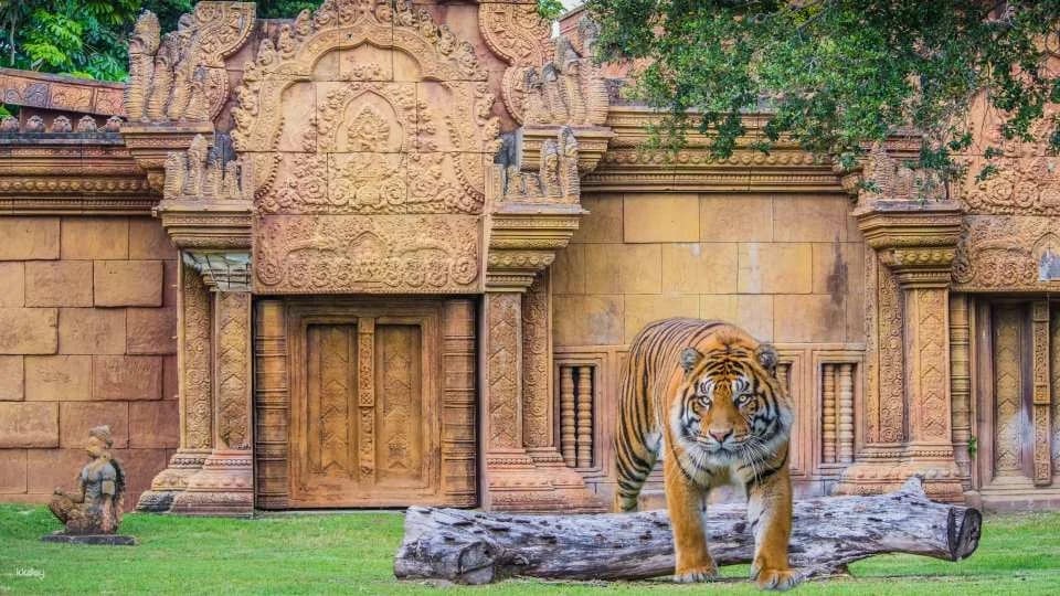 Zoo Miami Skip The Line Ticket | Florida