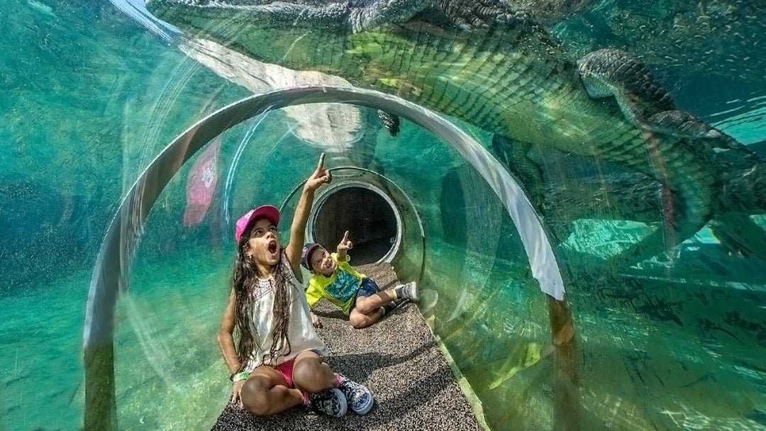 Guests in croc tube at Zoo Miami observing crocodile above.