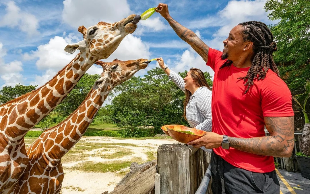Zoo Miami Tickets: Groups of 4 And More Image 2