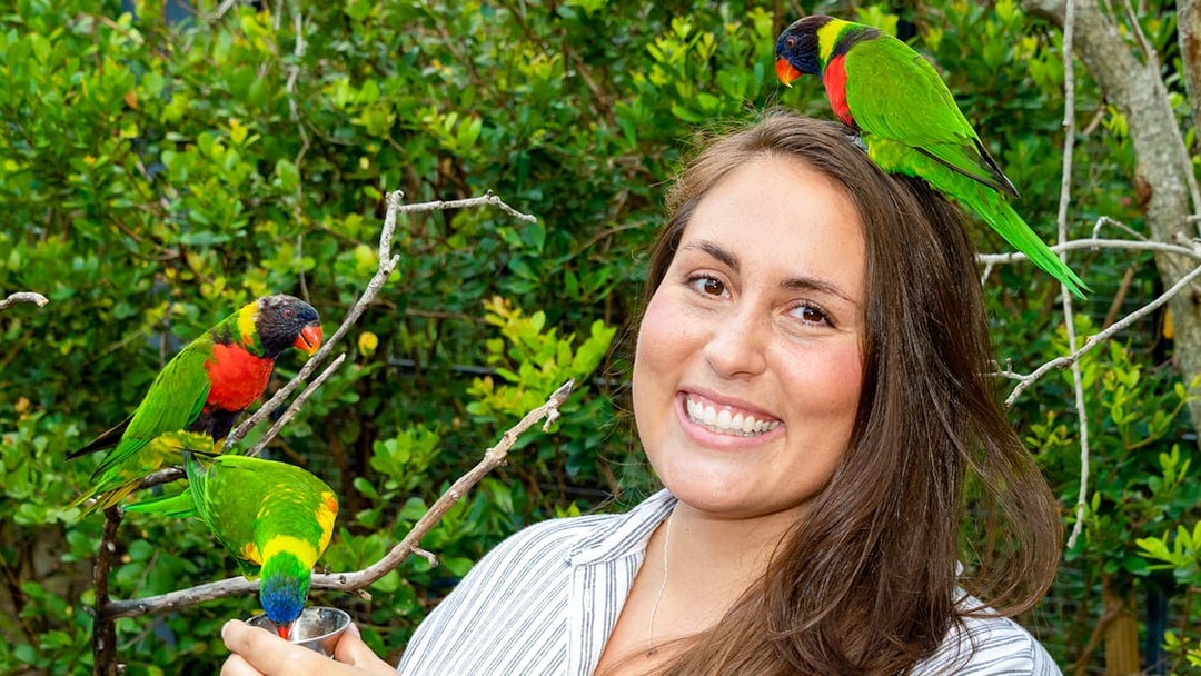 Guest feeding colorful parrots at Zoo Miami.