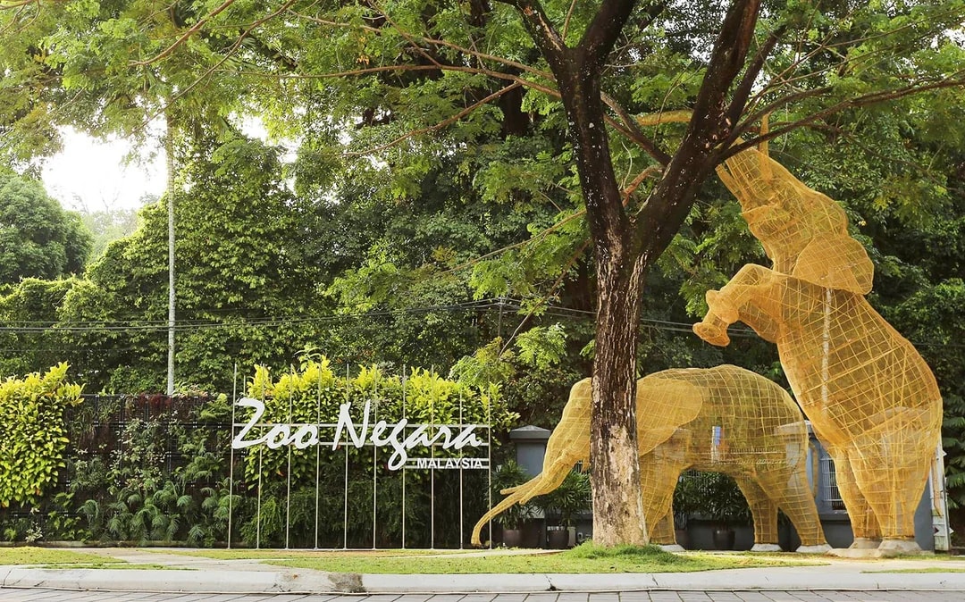 Zoo Negara & Panda Conservation Centre Tickets Image 7