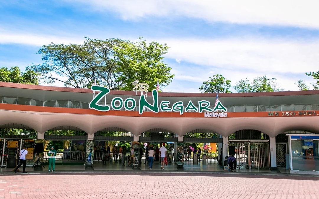 Zoo Negara & Panda Conservation Centre Tickets Image 11