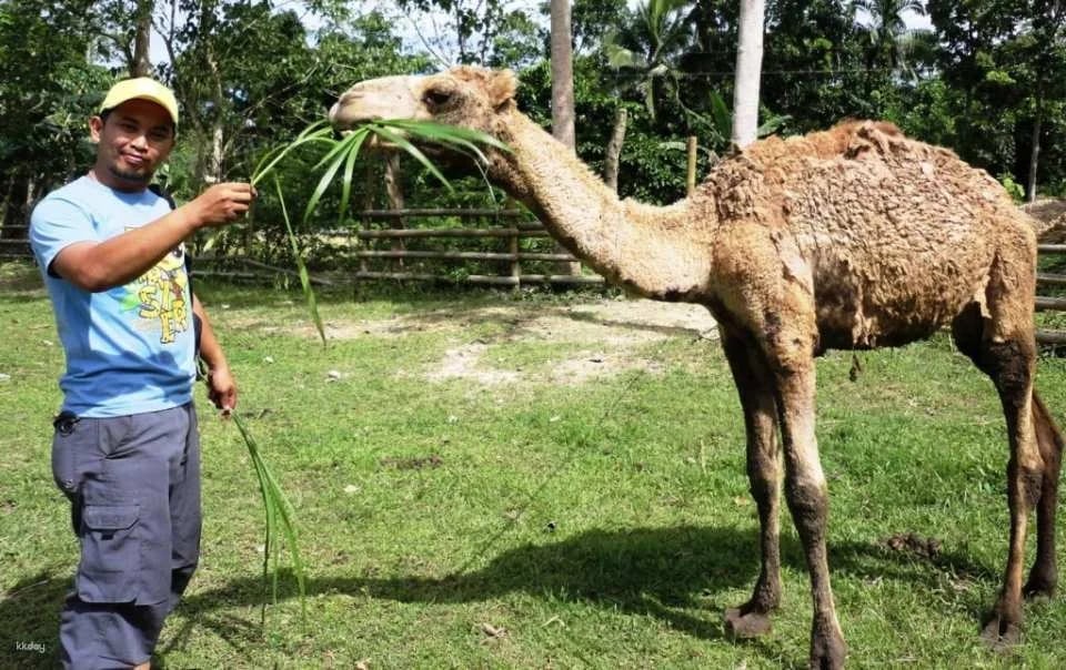 Zoocolate Thrills Admission Ticket in Bohol | Philippines