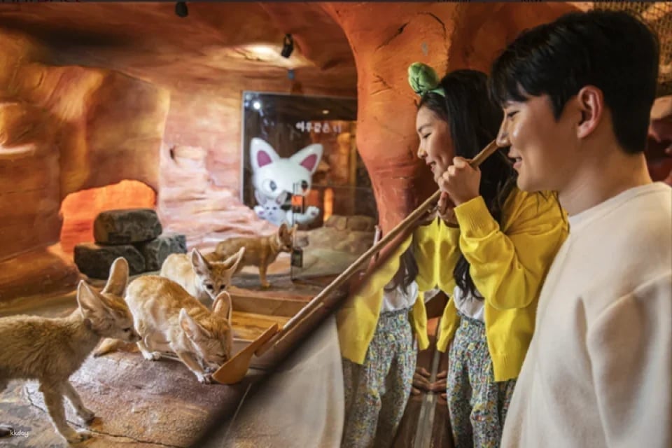 Zoolung Zoolung Indoor Animal Theme Park Discount Ticket (Yeongdeungpo Branch) | Seoul, South Korea