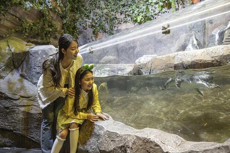Zoolung Zoolung Indoor Animal Theme Park Discount Ticket (Yeongdeungpo Branch) | Seoul, South Korea