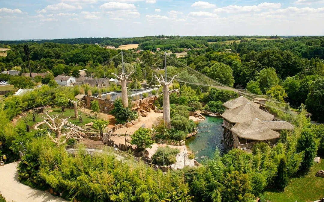 ZooParc de Beauval 1-Day Entry Ticket Image 6