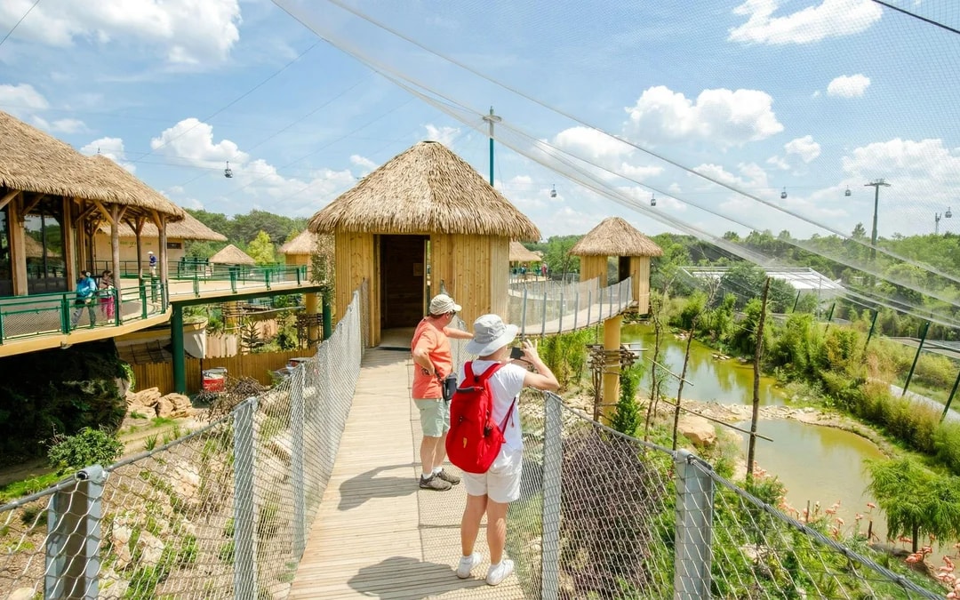 ZooParc de Beauval 2-Day Entry Ticket Image 3