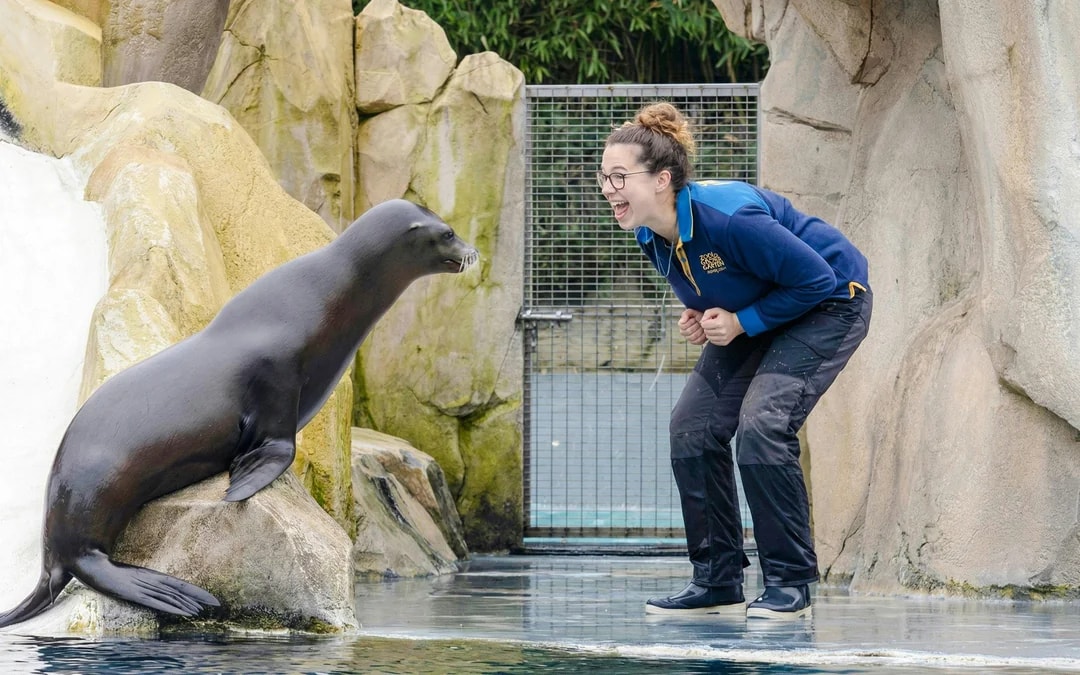 ZooParc de Beauval 2-Day Entry Ticket Image 6