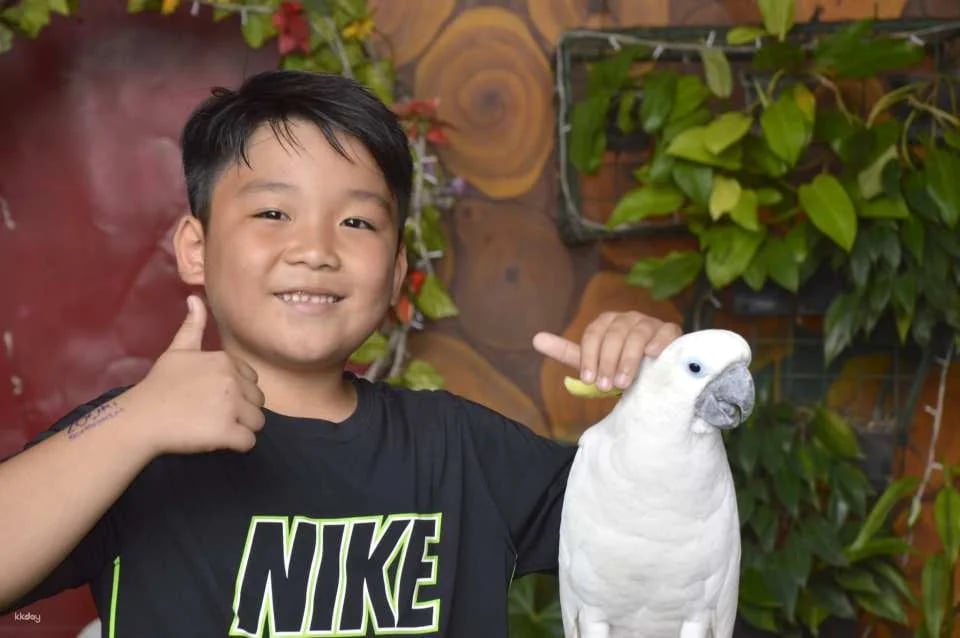 Zoori at Residence Inn Admission Ticket in Tagaytay | Philippines