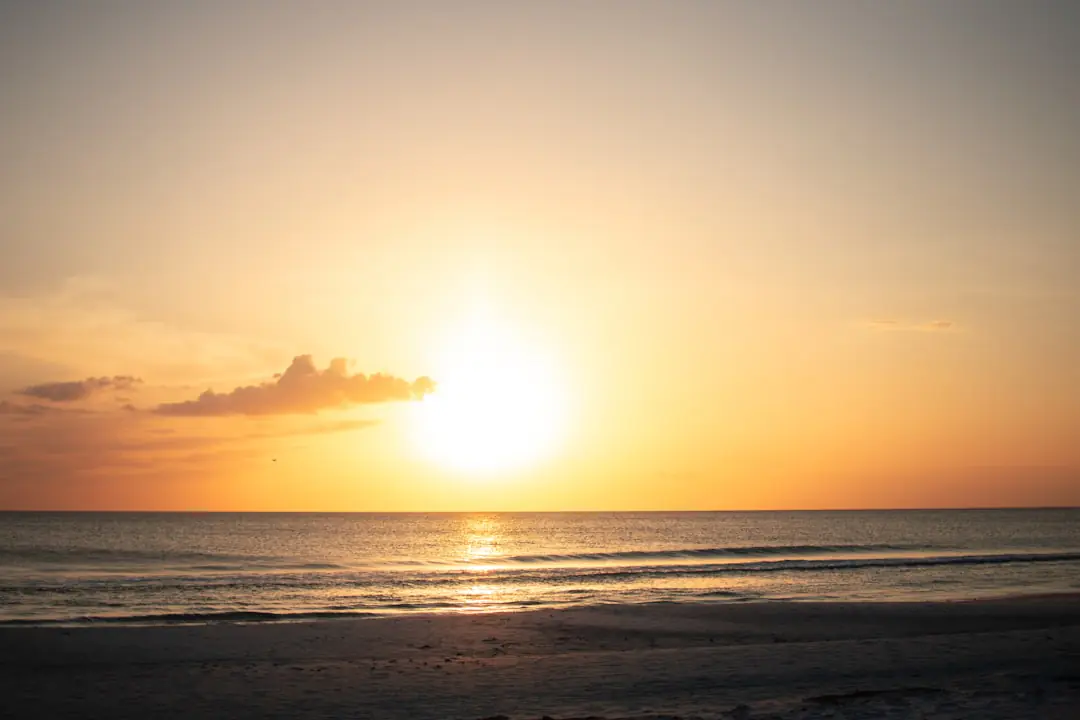 Things to do in Clearwater