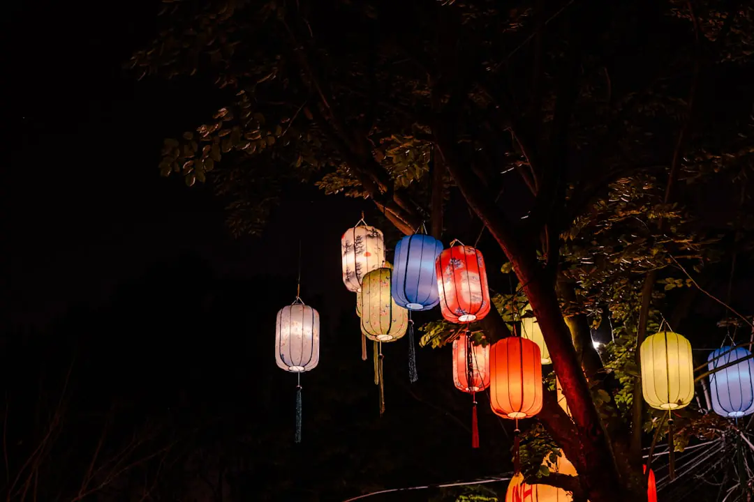 Things to do in Hoi An