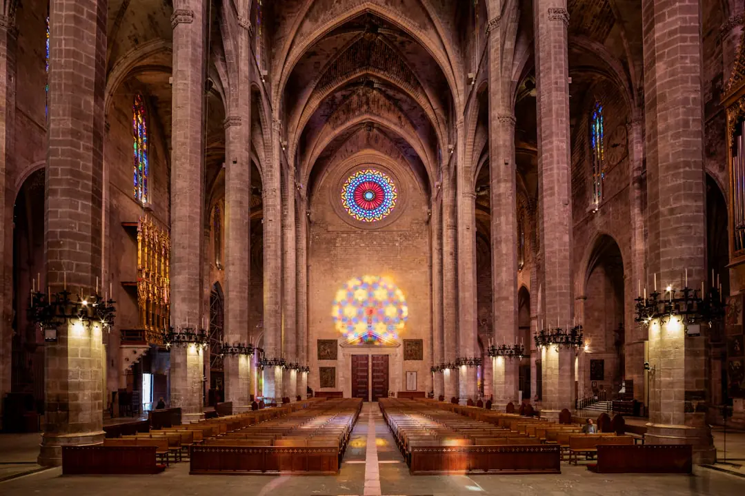 Things to do in Mallorca