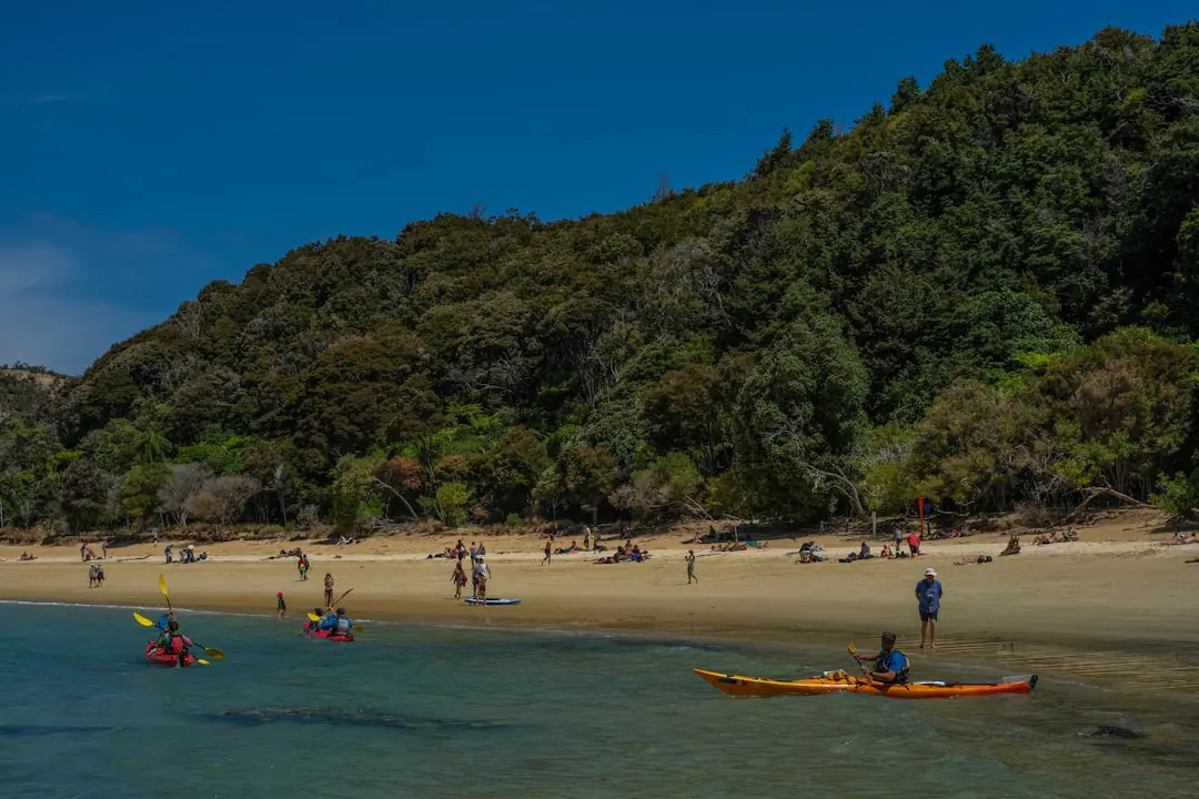 Things to do in Nelson