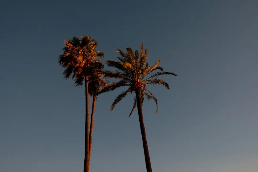Things to do in Nice
