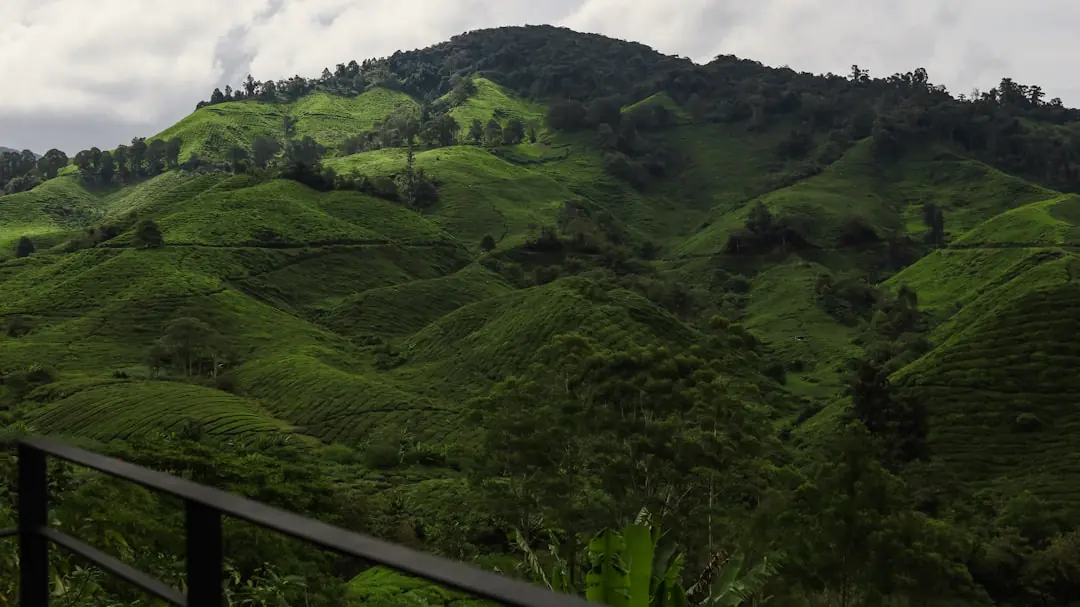 Things to do in Pahang