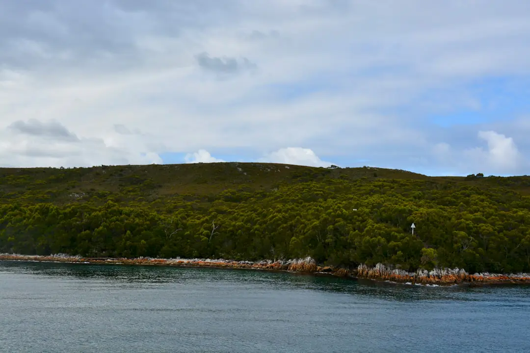 Things to do in Strahan