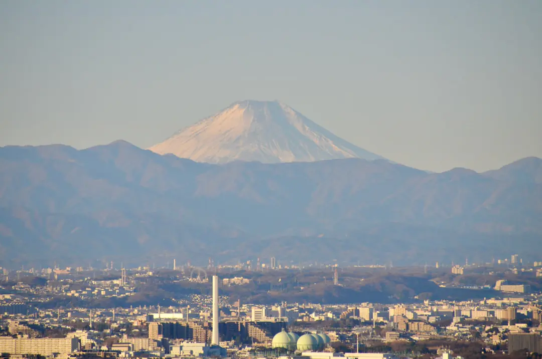 Things to do in Tokyo