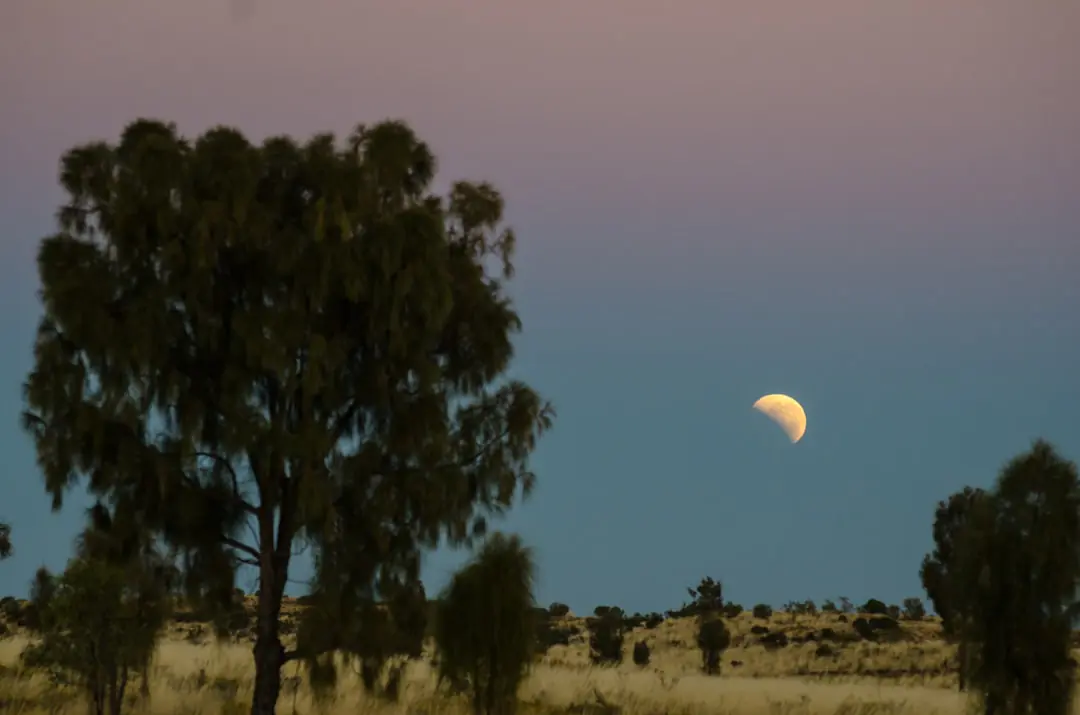 Things to do in Uluru