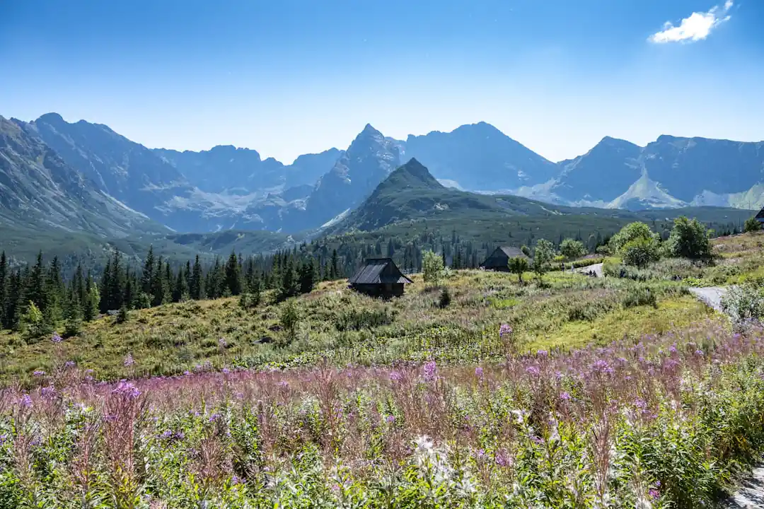 Things to do in Zakopane