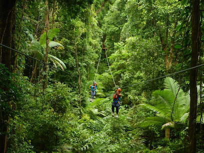 Treetops Adventure Cape Tribulation