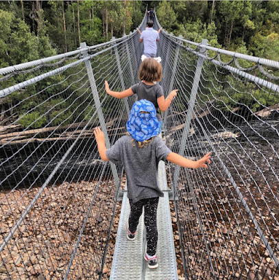 Tahune Adventures Tasmania