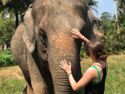 Ao Nang Elephant Sanctuary Krabi (Booking is needed)