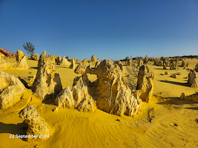 The Pinnacles Desert