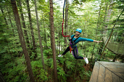 Redwoods Altitude