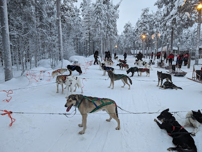 Lapland Husky Safaris