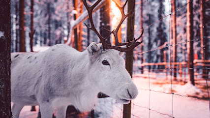Santa's Pets