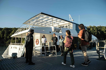 RealNZ | Doubtful Sound Cruises