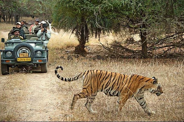 main image of trip