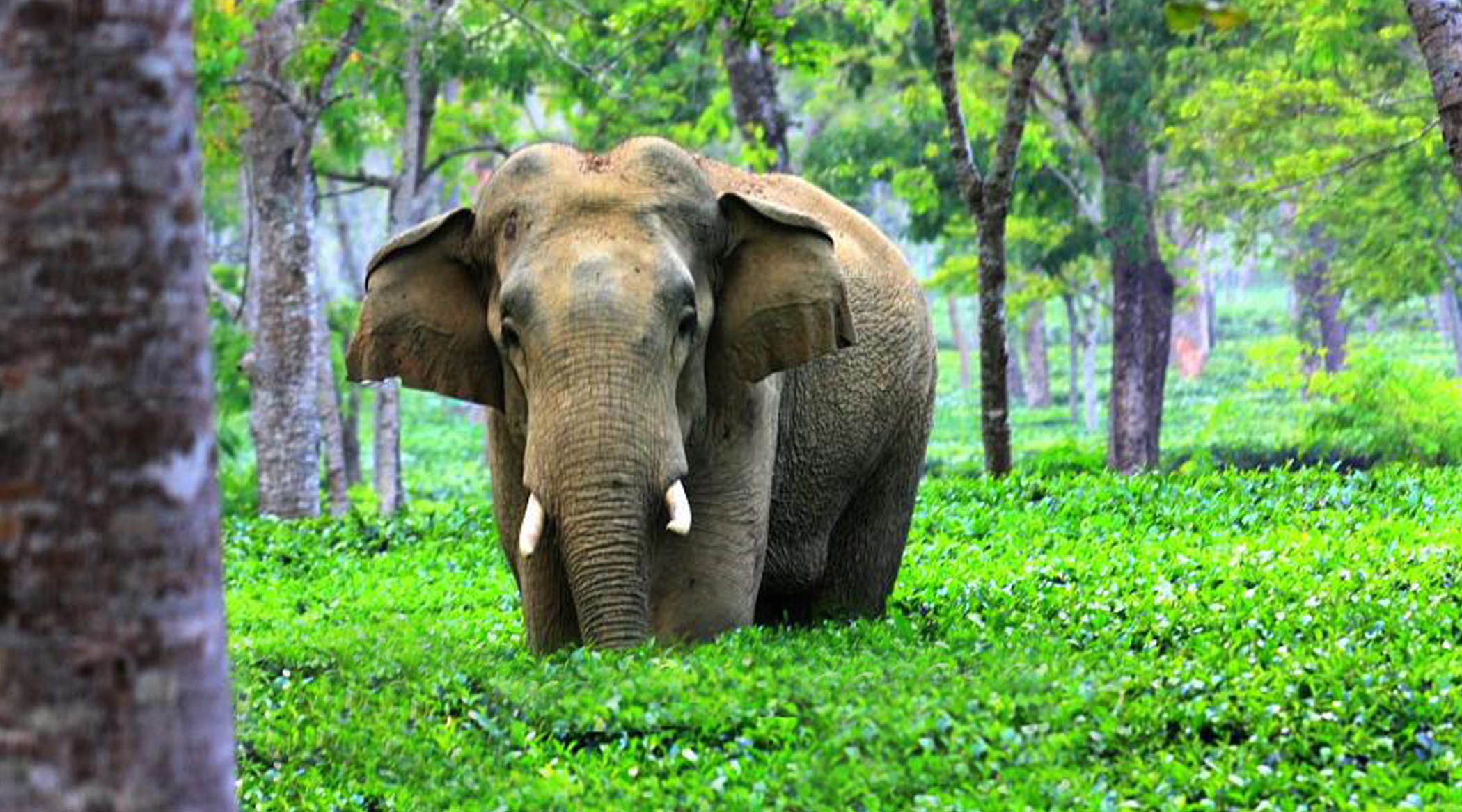 main image of trip