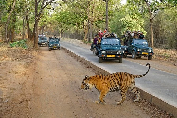 main image of trip