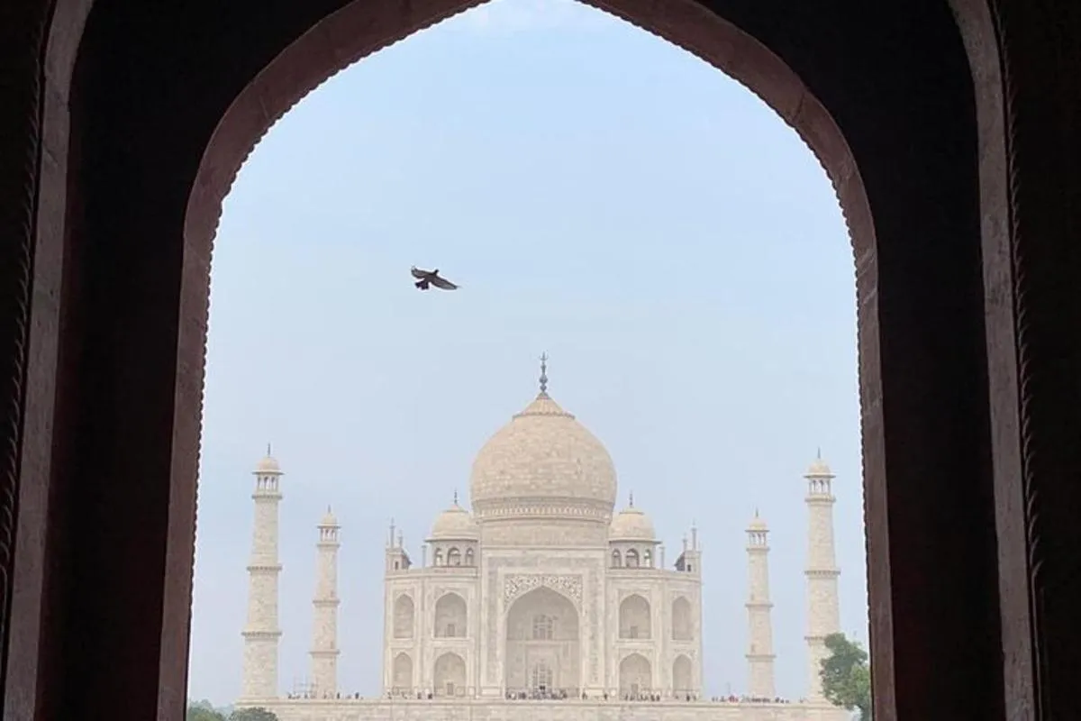 trip image 2