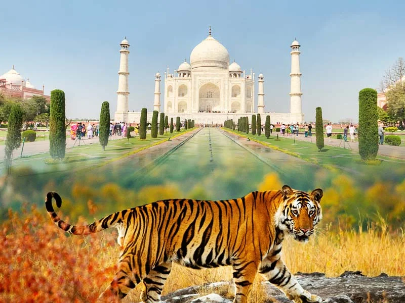 main image of trip