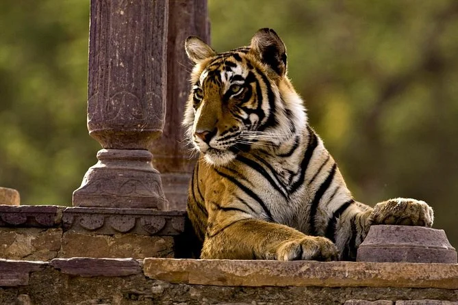 main image of trip