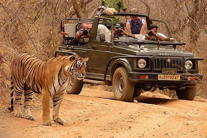 main image of trip