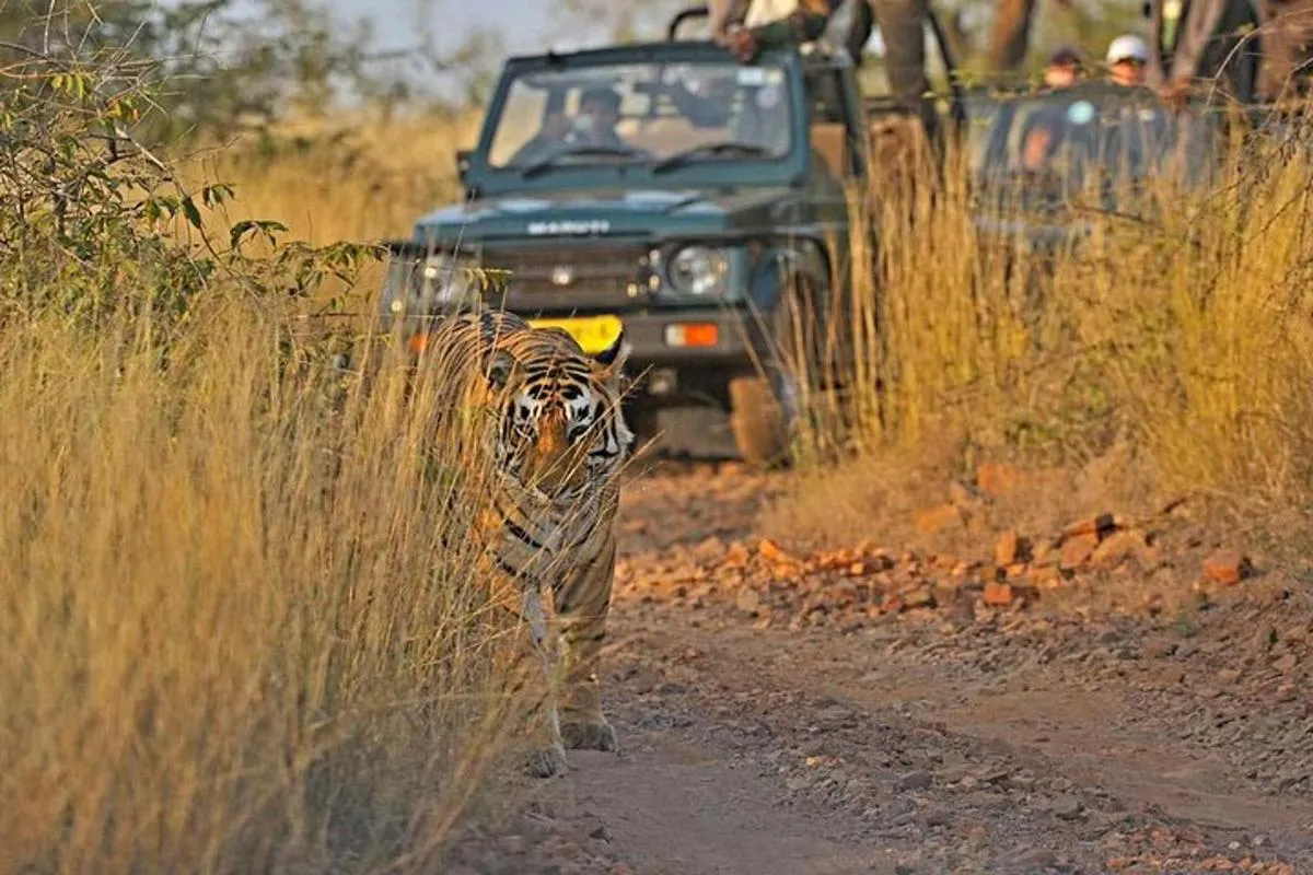 main image of trip