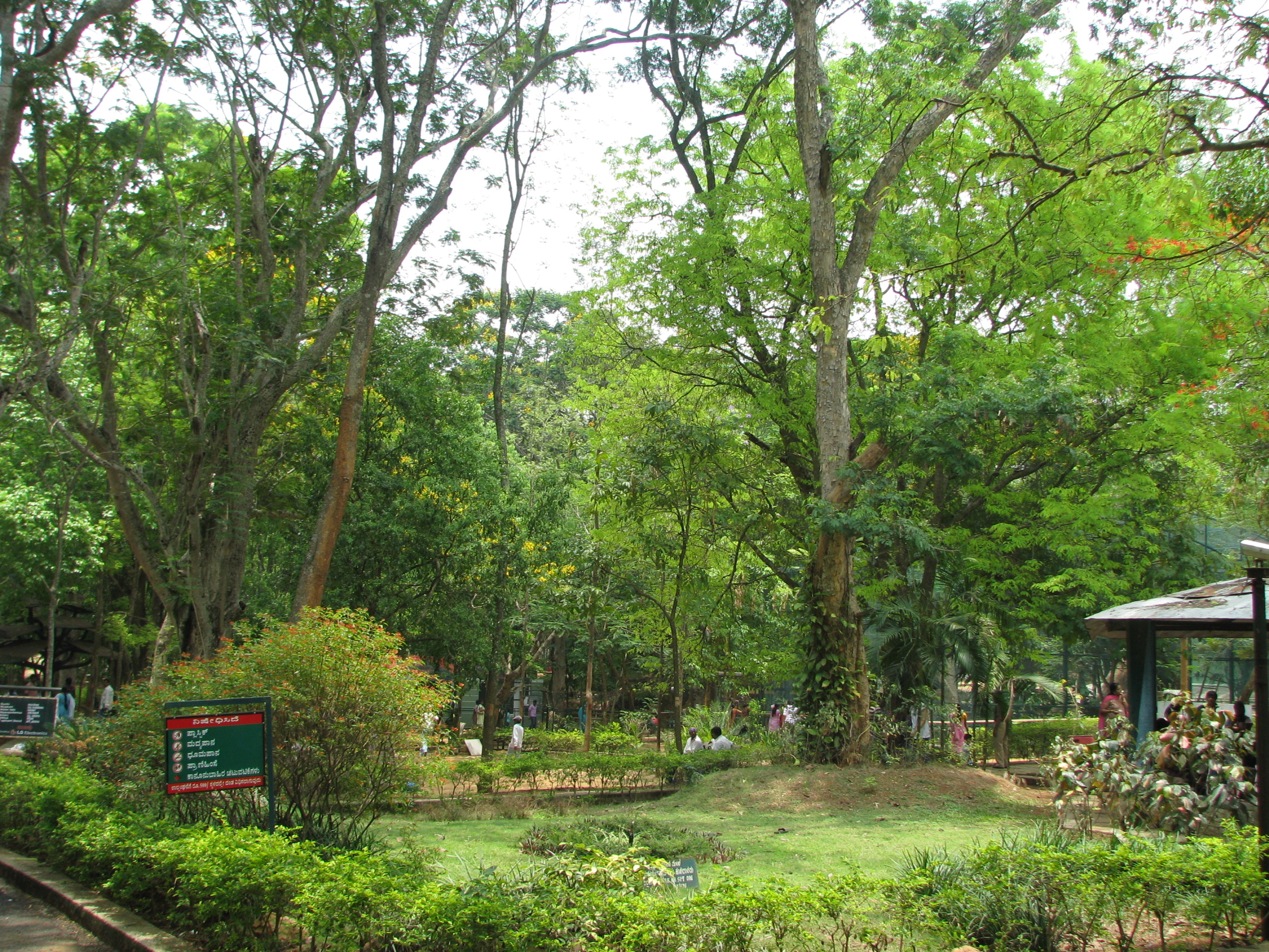 trip image 2