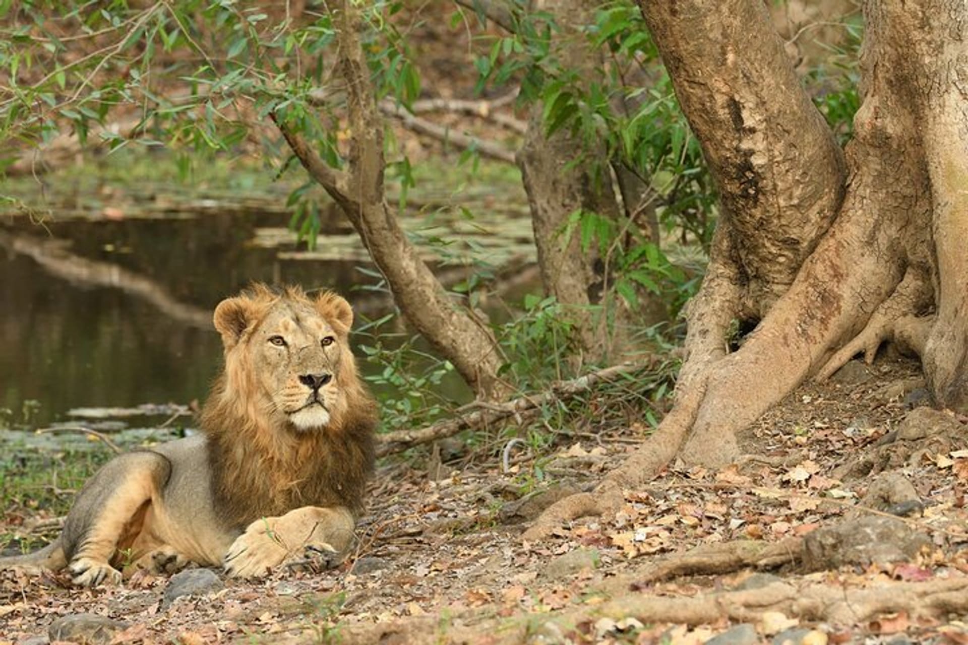 main image of trip