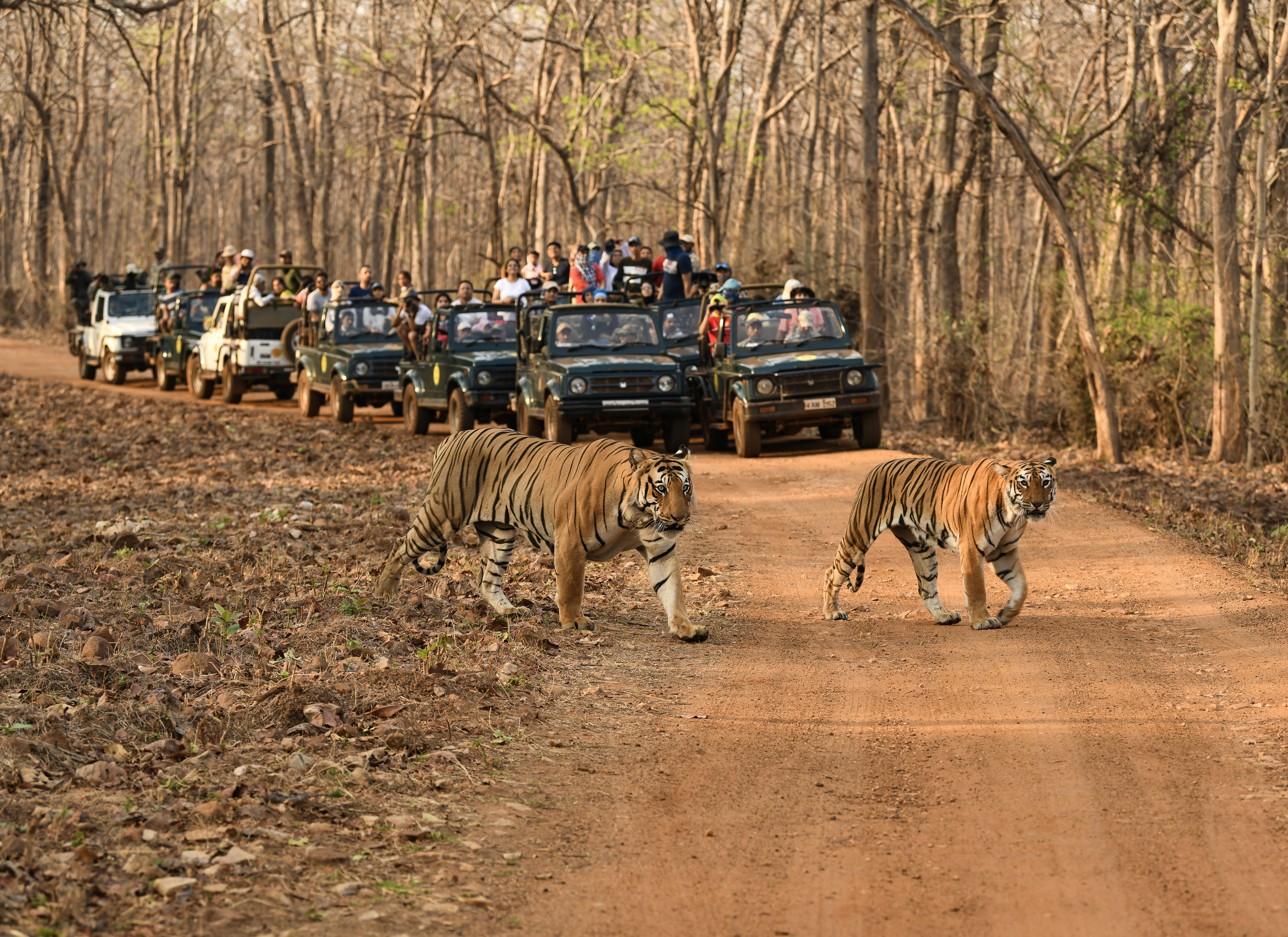 main image of trip